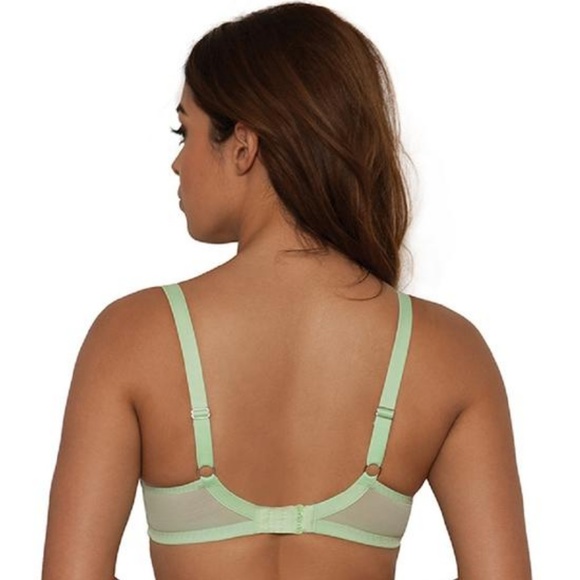 Curvy Kate Daily Dream Padded Apple Dot Bra - Picture 3 of 4